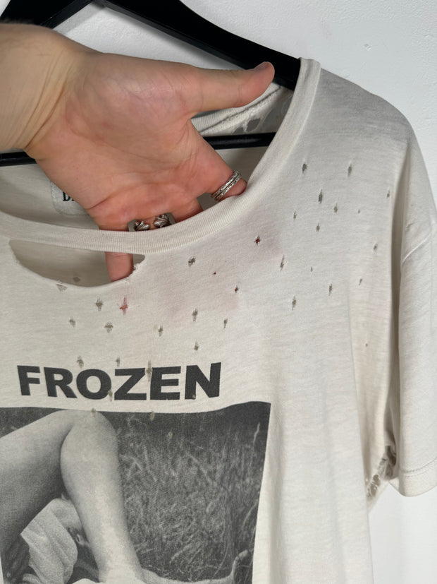 ULTIMATE GRAIL 2015 HAND DISTRESSED "FROZEN BEAUTIES" SHIRT